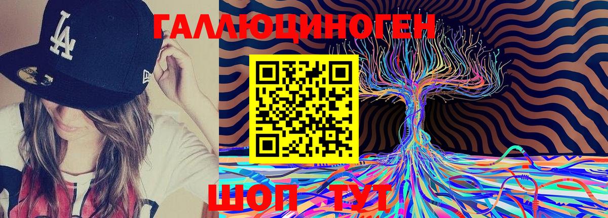 Галлюциногенные грибы GOLDEN TEACHER  Вход с VPN  цены наркотик  Курганинск 